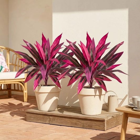 🏆Flash Sale⚡ 50K+ SOLD! Large Artificial Boston Fern & Dragon's Blood Tree Plants 🌼