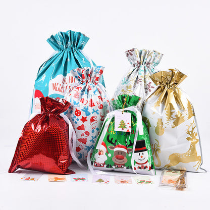 All Season's Gift Bags & Tags Set(Random Color)